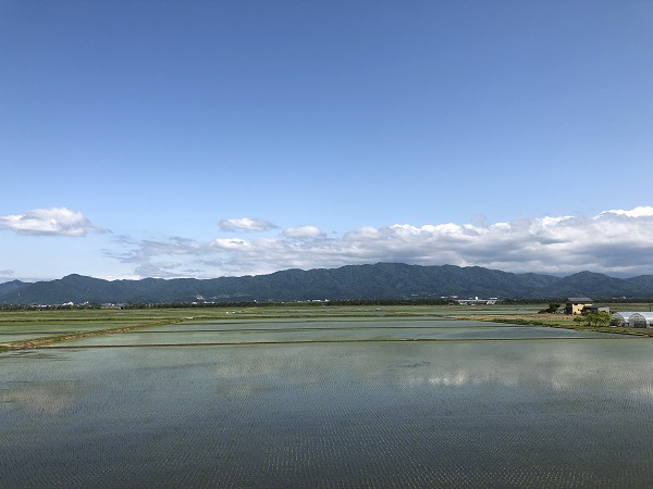 新潟県胎内市 田んぼと山の風景
