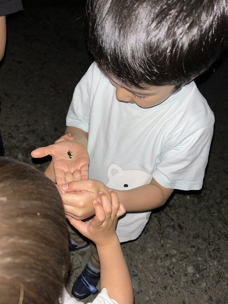 蛍　新潟県胎内市