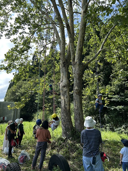 ツリーイング　新潟県胎内市
