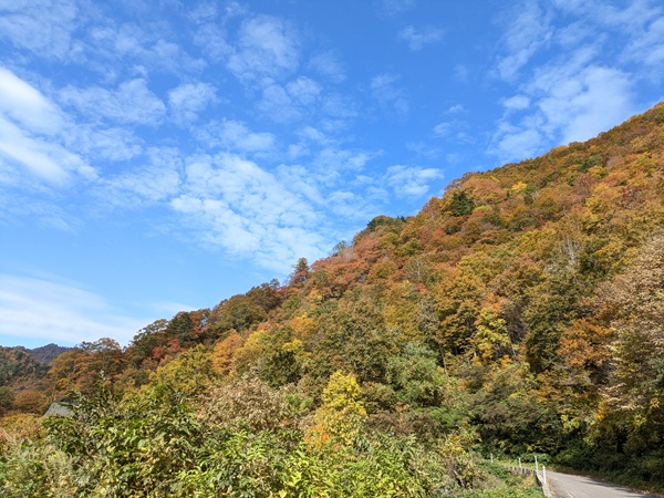 新潟県胎内市 奥胎内の紅葉